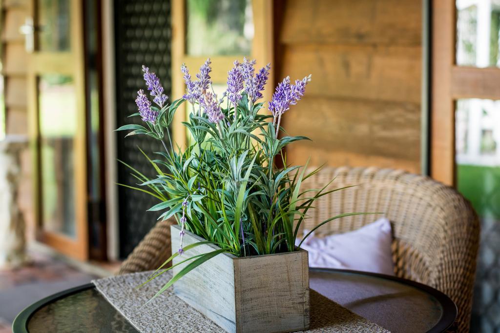 Ronday-Voo Bed And Breakfast Speewah Εξωτερικό φωτογραφία